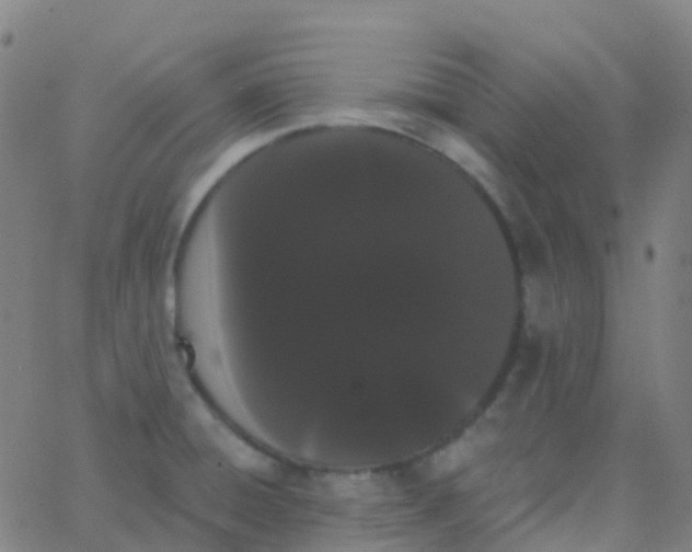 X0000062841428200601272005