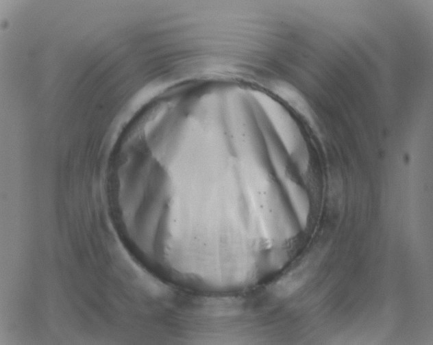 X0000062841429200601272005