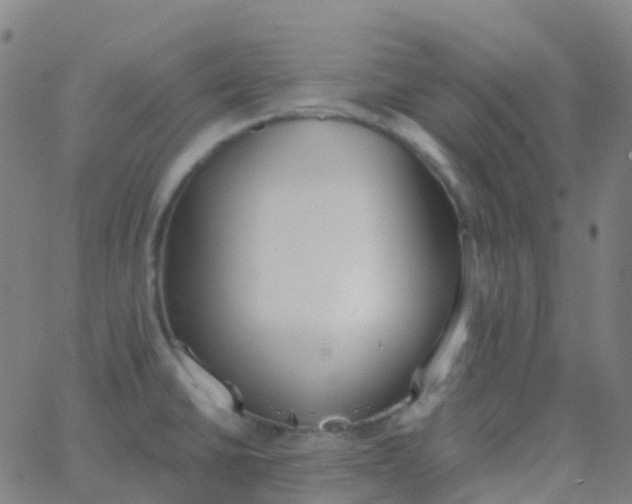 X0000062841430200601272005