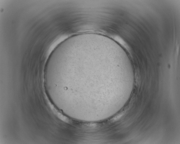 X0000062841431200601272005