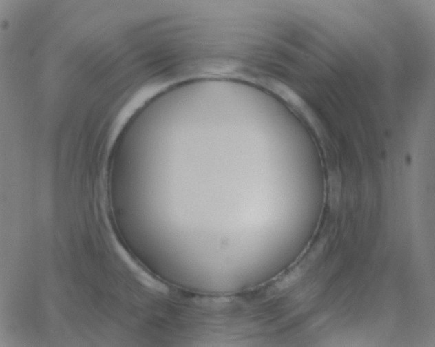 X0000062841432200601272005