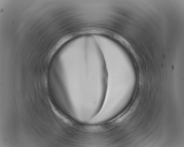 X0000062841433200601272005