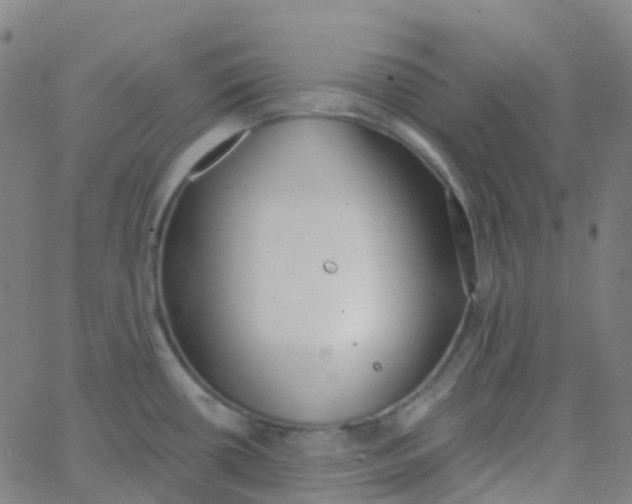 X0000062841434200601272005