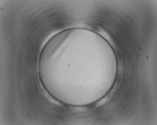 X0000062841436200601272005