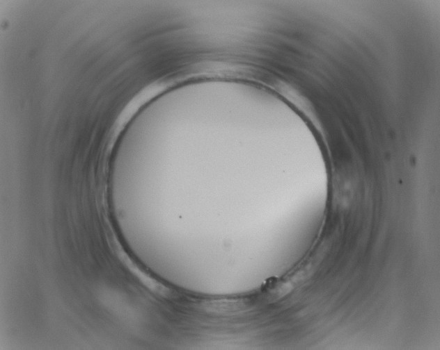 X0000062841437200601272005