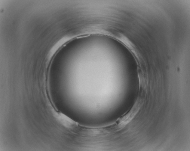 X0000062841438200601272005