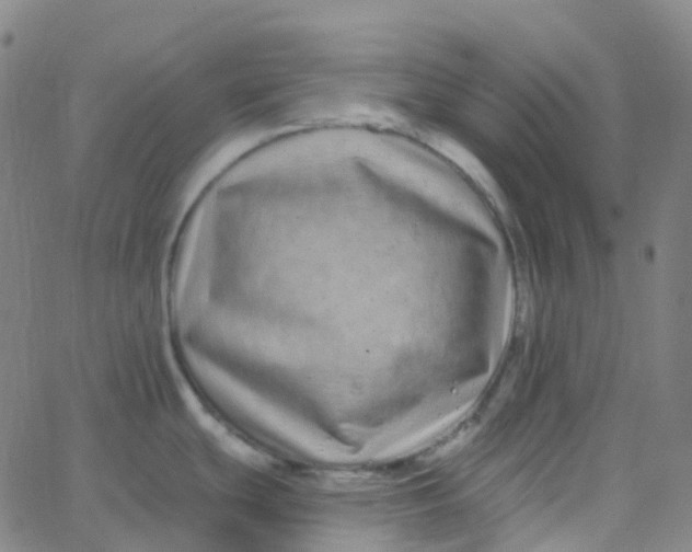 X0000062841439200601272005