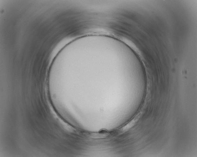 X0000062841440200601272005