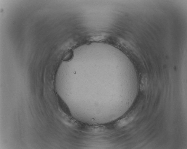 X0000062841441200601272004