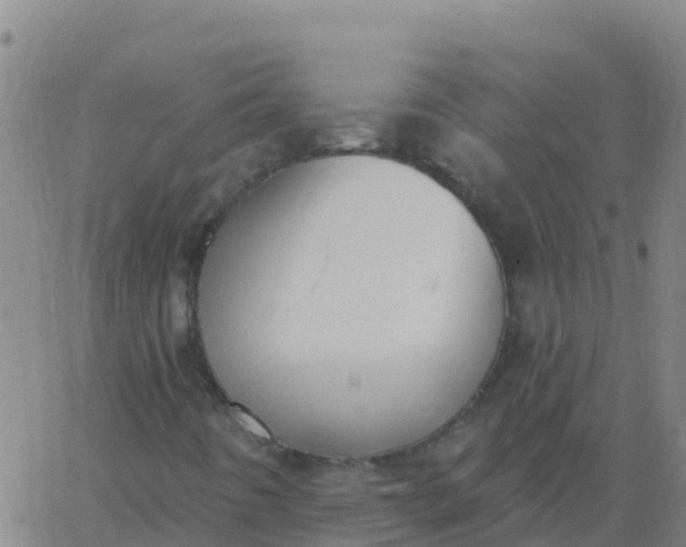 X0000062841442200601272004