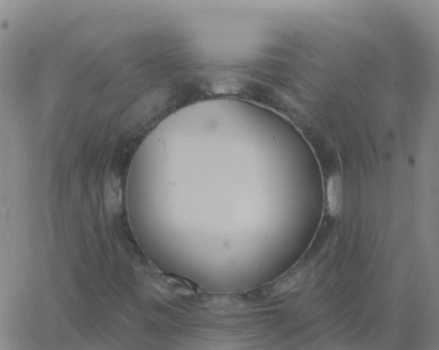 X0000062841443200601272004