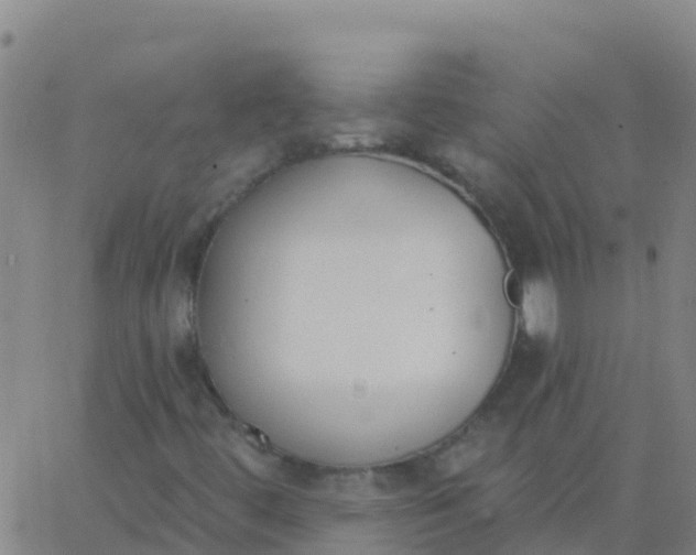 X0000062841444200601272004