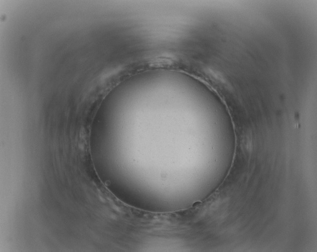 X0000062841445200601272004