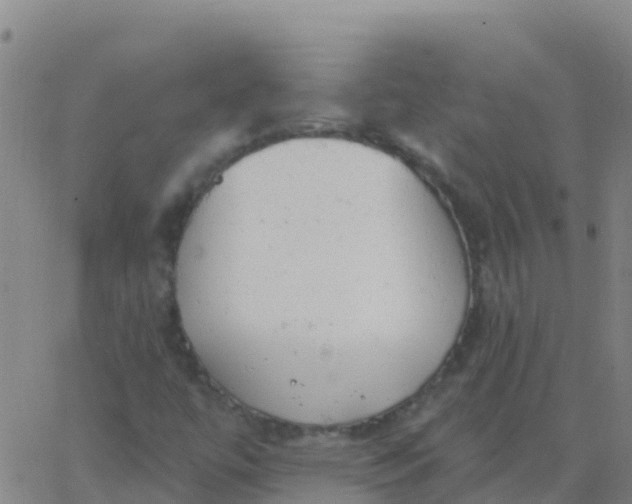 X0000062841447200601272004