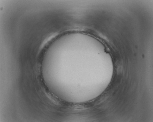 X0000062841448200601272004