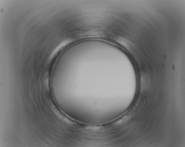 X0000062841450200601272004