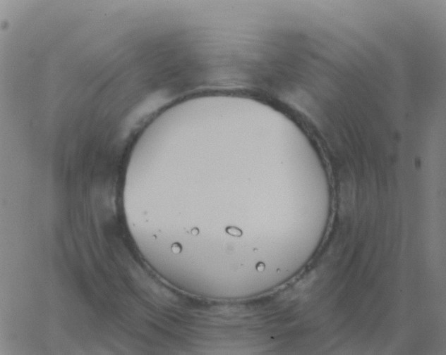 X0000062841451200601272004