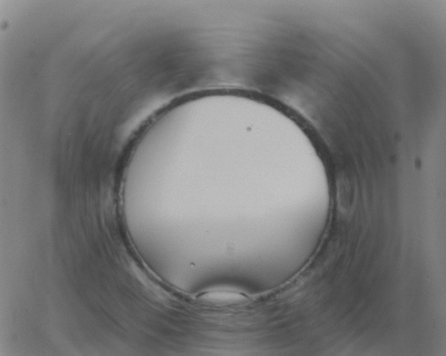 X0000062841452200601272004