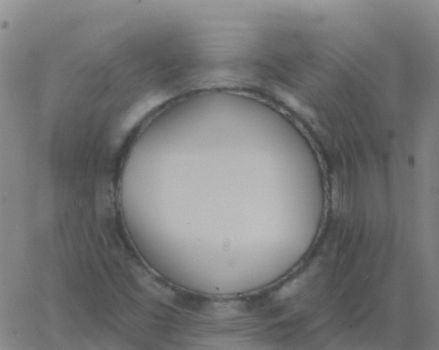 X0000062841453200601272004