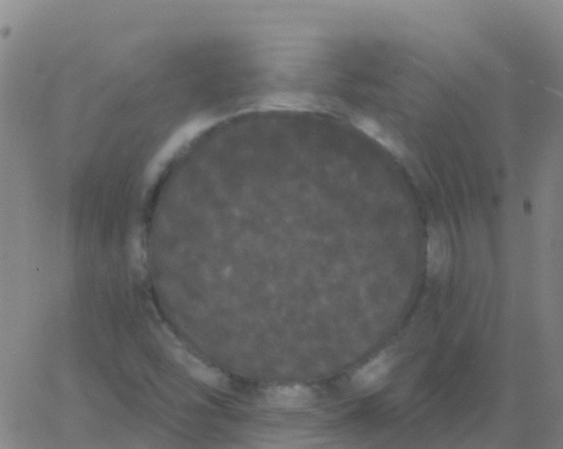 X0000062841454200601272004