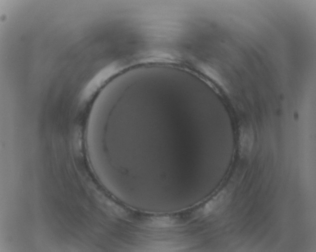 X0000062841455200601272004