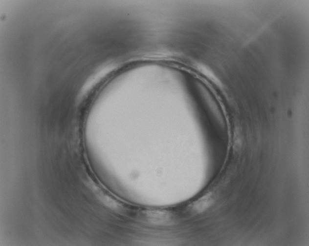 X0000062841456200601272004