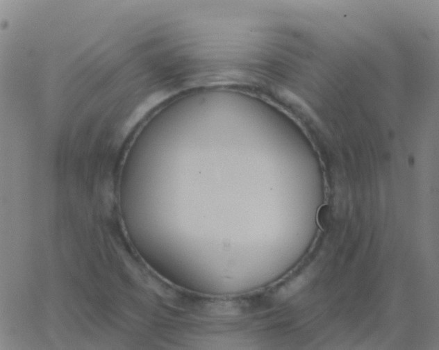 X0000062841457200601272004