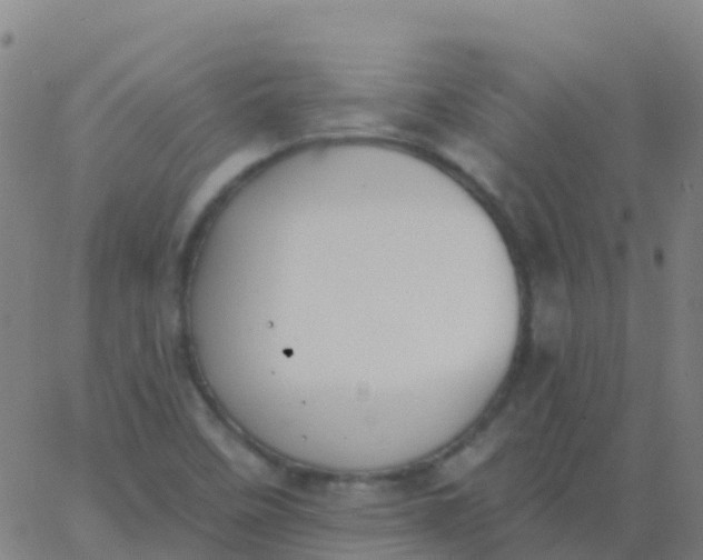 X0000062841458200601272004