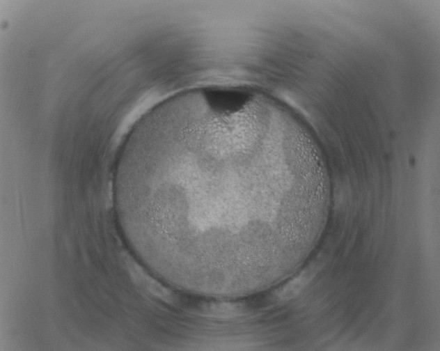 X0000062841459200601272004