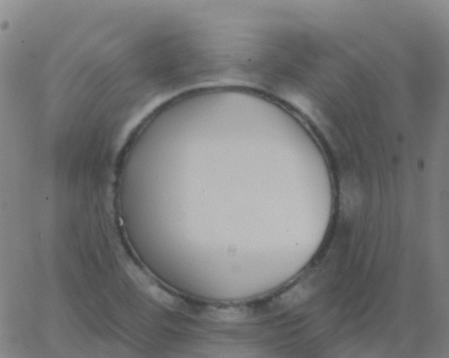 X0000062841460200601272004