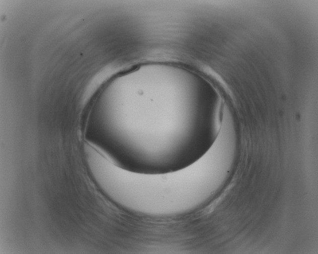 X0000062841461200601272004