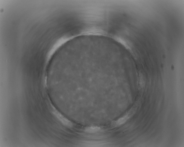 X0000062841462200601272004