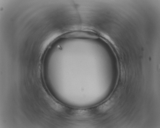 X0000062841463200601272004