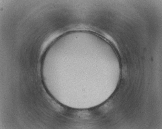 X0000062841464200601272004