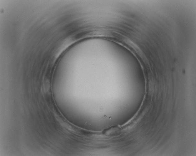 X0000062841465200601272004