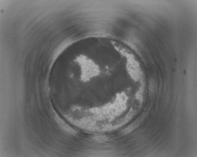 X0000062841466200601272004