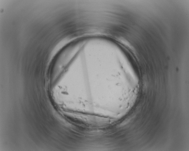 X0000062841467200601272004