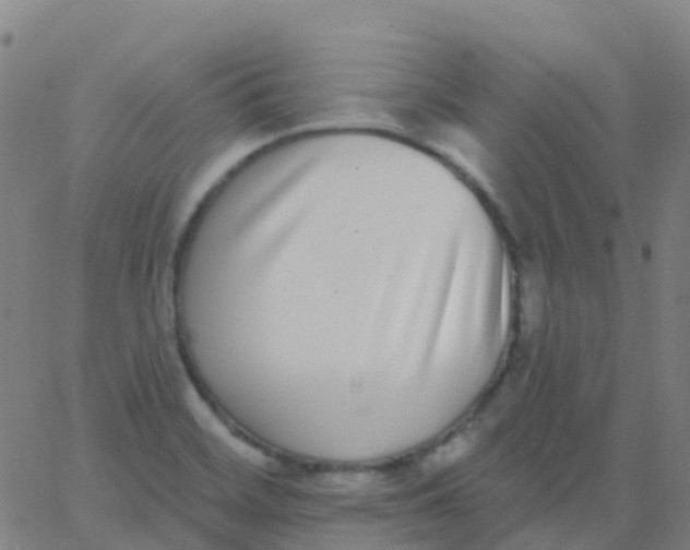 X0000062841468200601272004