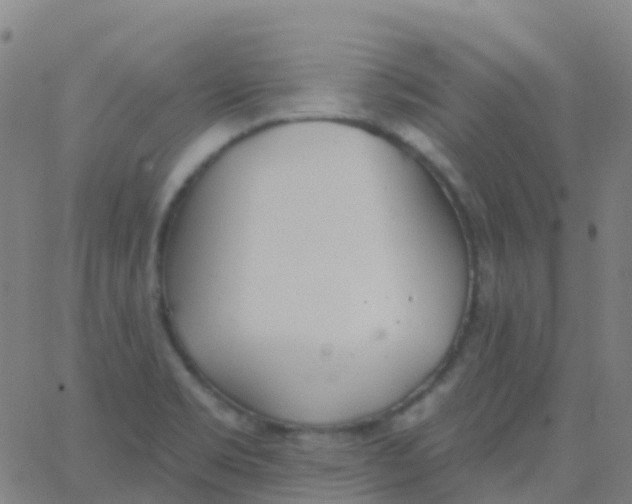 X0000062841469200601272004