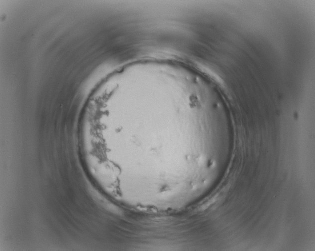 X0000062841471200601272004