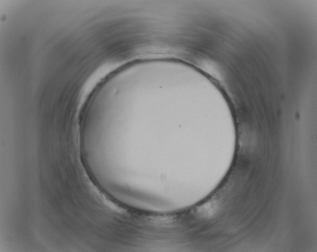 X0000062841472200601272004