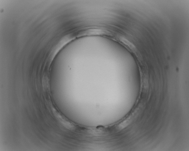 X0000062841473200601272004