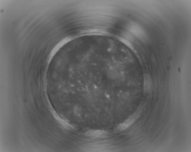 X0000062841474200601272004