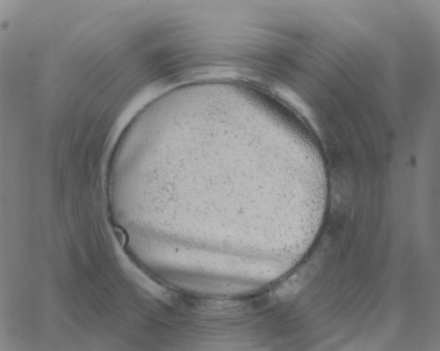 X0000062841475200601272004