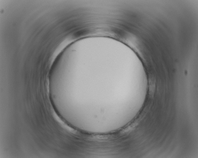 X0000062841476200601272004