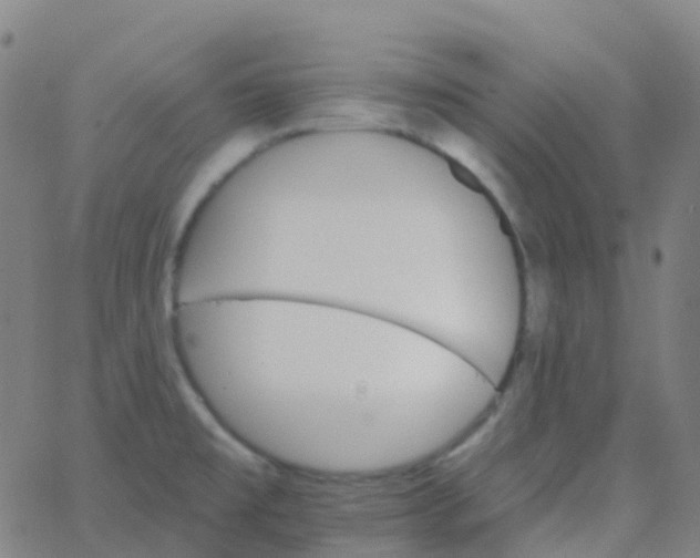 X0000062841477200601272004