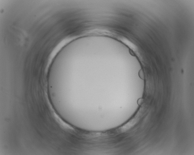 X0000062841478200601272004