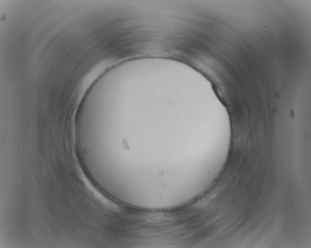 X0000062841479200601272004