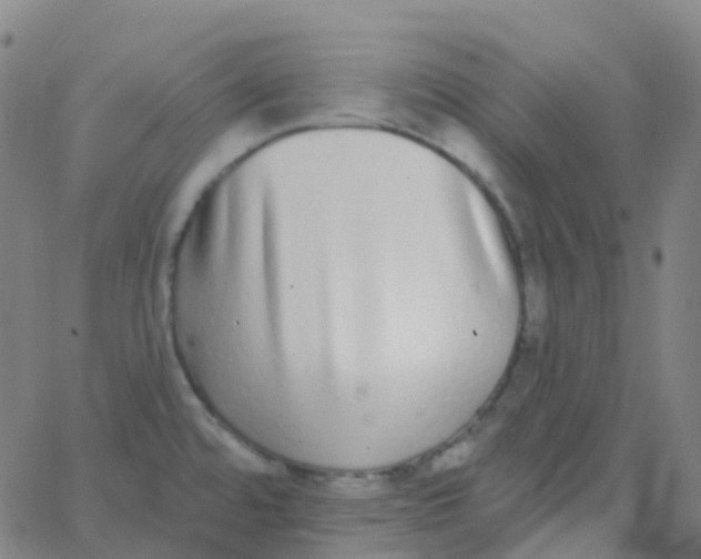 X0000062841480200601272004