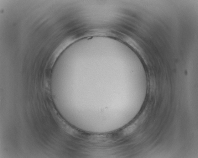 X0000062841481200601272004